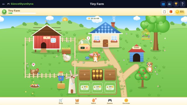 Tiny Farm: the coop, the incubator, a hen and chicks