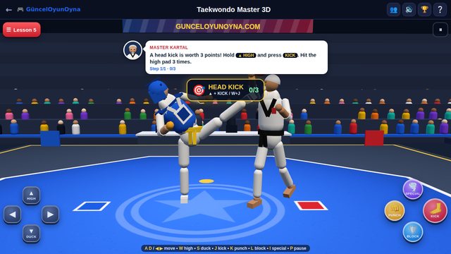 Taekwondo Master 3D: head kick lesson with Master Kartal in the dojang