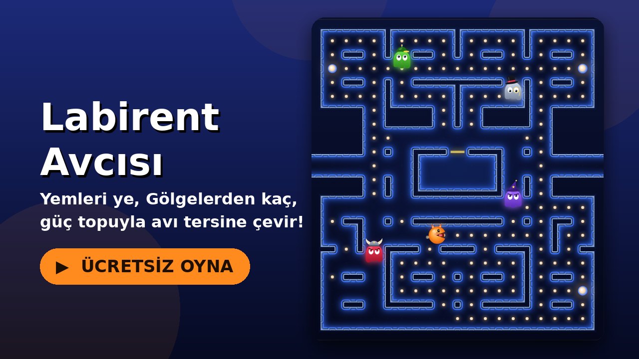 Labirent Avcısı oyun ekranı