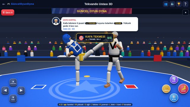 Tekvando Ustası 3D: dojangda Usta Kartal ile kafa tekmesi dersi