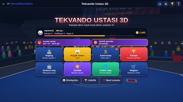 Tekvando Ustası 3D: ana menü, günlük hediye, görevler, kariyer ve online maç