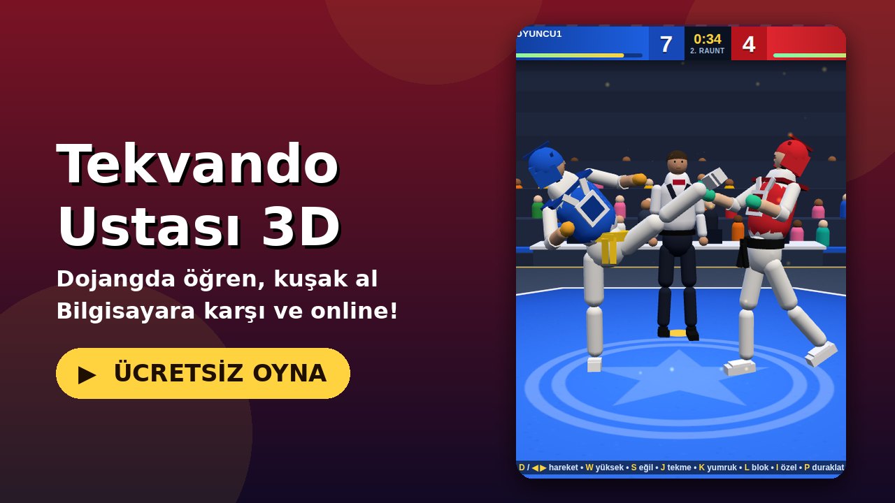 Tekvando Ustası 3D oyun ekranı
