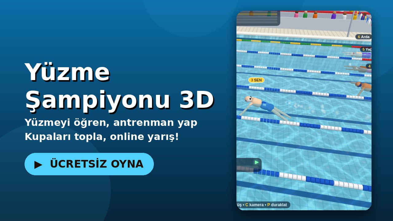 Yüzme Şampiyonu 3D oyun ekranı